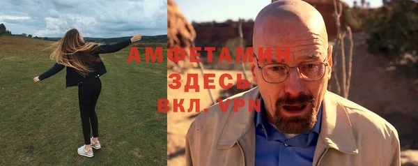 стаф Аркадак