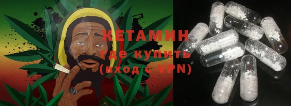 стаф Аркадак