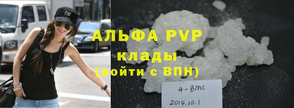 стаф Аркадак