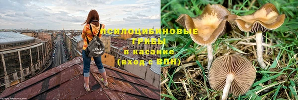 молекула духа Армянск