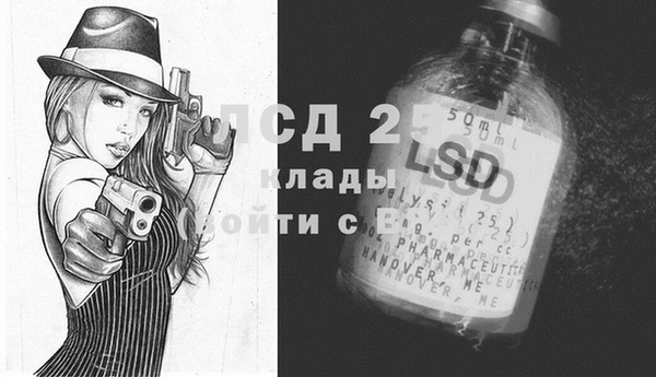 стаф Аркадак