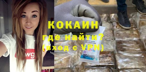 стаф Аркадак