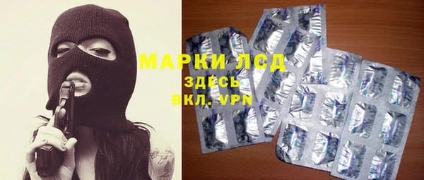 стаф Аркадак
