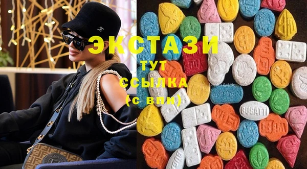 стаф Аркадак