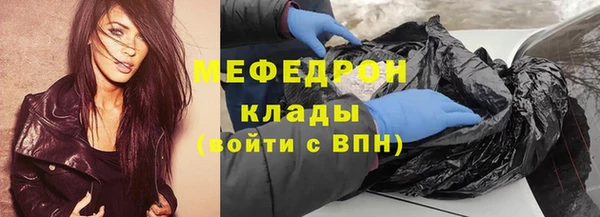 стаф Аркадак