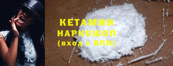 стаф Аркадак