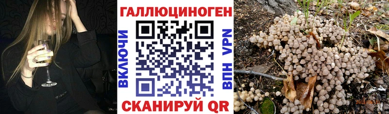 Галлюциногенные грибы мицелий  где купить наркоту  OMG онион  Опочка 